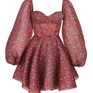 Selkie Crimson Princess Dress